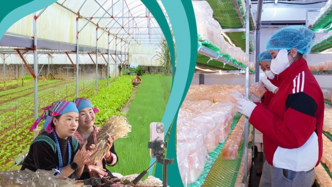 Nông sản Lai Châu vươn xa nhờ công nghệ số