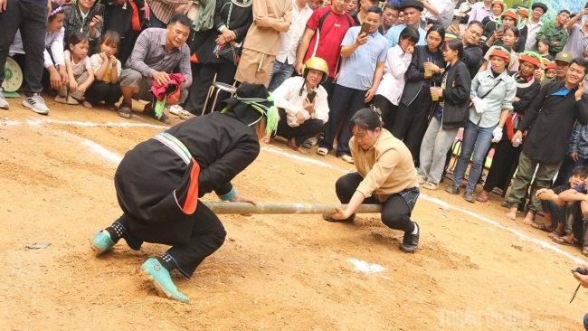 Tuyên Quang: Lễ hội “Miền chè di sản” xã Cao Bồ năm 2026