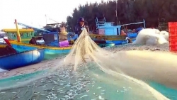 Lâm Đồng: Vốn ưu đãi “tiếp sức” ngư dân Lâm Đồng vươn khơi, bám biển