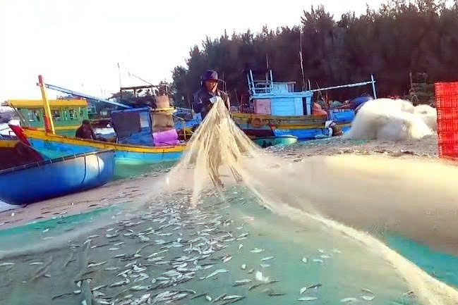 Lâm Đồng: Vốn ưu đãi “tiếp sức” ngư dân Lâm Đồng vươn khơi, bám biển