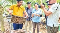 Cần Thơ: Bảo tồn hệ sinh thái, phát triển mô hình ứng phó biến đổi khí hậu