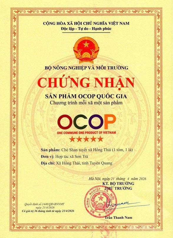 Tuyên Quang: Chè Shan tuyết Hồng Thái đạt OCOP quốc gia 5 sao