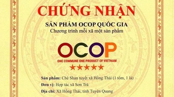 Tuyên Quang: Chè Shan tuyết Hồng Thái đạt OCOP quốc gia 5 sao