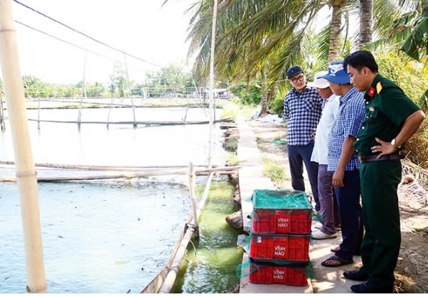 Cần Thơ: Khó khăn tìm đầu ra cho cá chạch quế