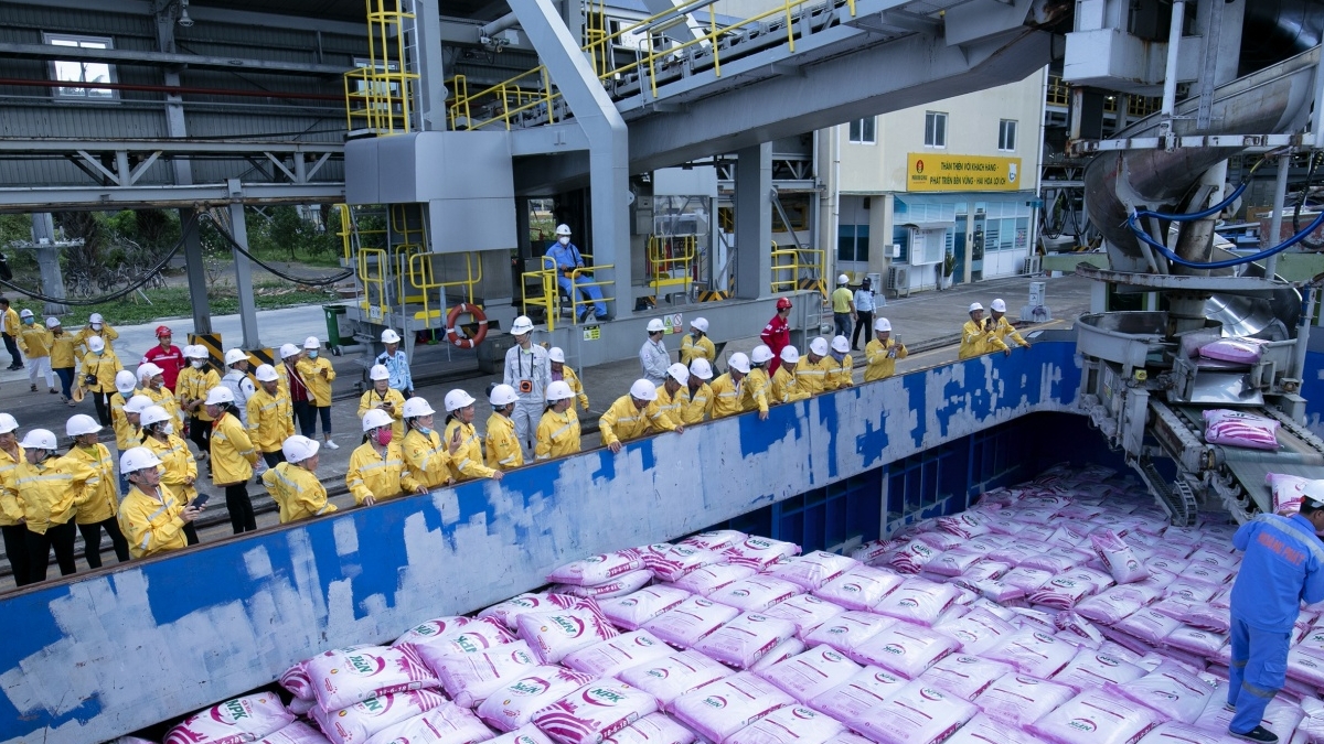 PVCFC triển khai Chương trình thực tập sinh năm 2026