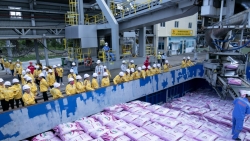 PVCFC triển khai Chương trình thực tập sinh năm 2026