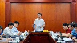 Bàn giải pháp xây dựng Dược điển Sâm Lai Châu