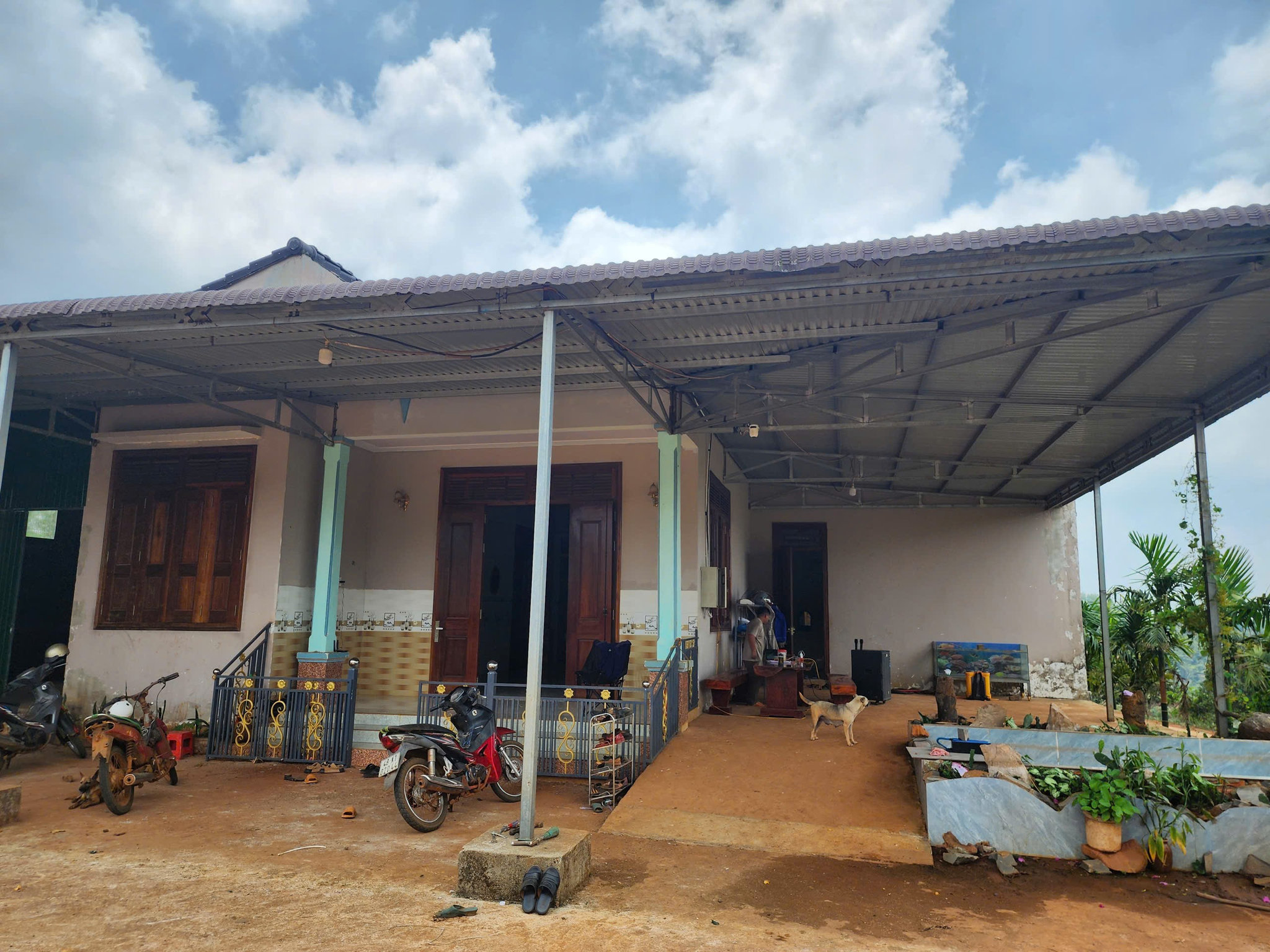 Lâm Đồng: “Nữ hoàng” các loại hạt đang mùa bội thu