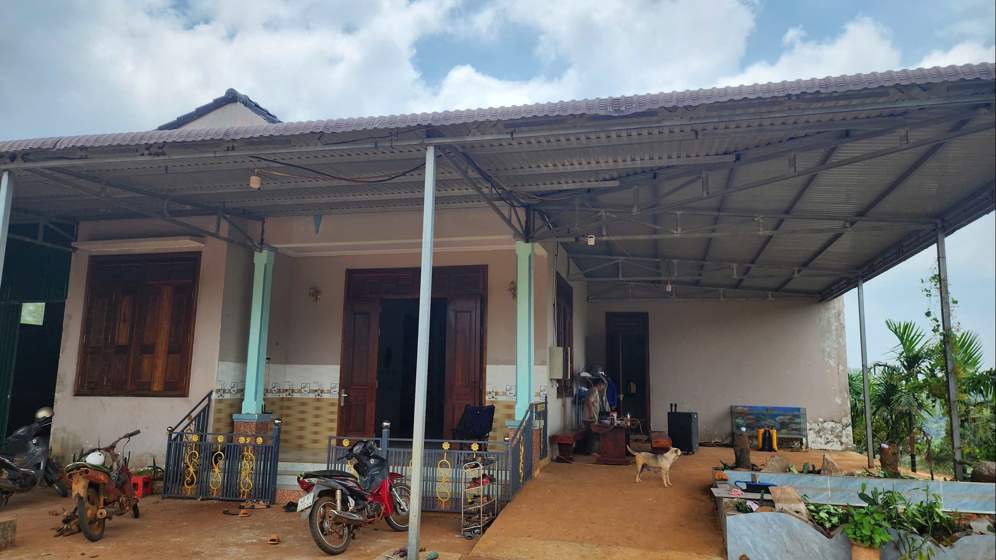 Lâm Đồng: “Nữ hoàng” các loại hạt đang mùa bội thu