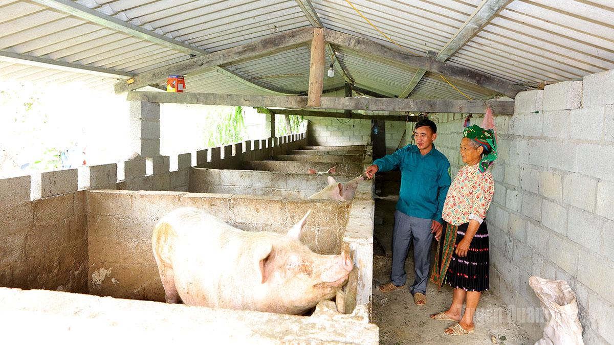 Tuyên Quang: Những “đầu tàu” phát triển kinh tế hộ gia đình ở Thắng Mố