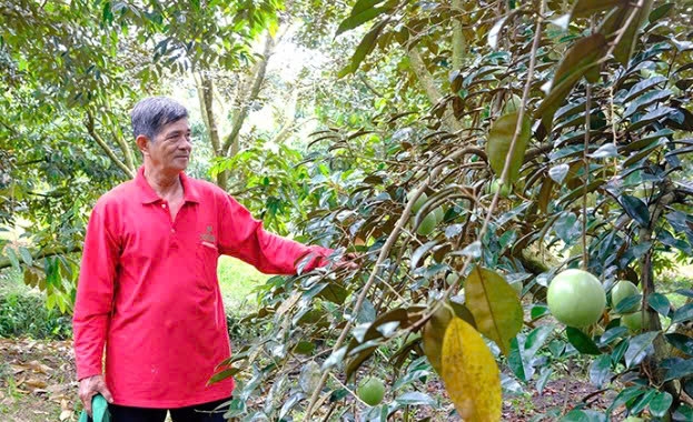 Xây dựng nông thôn mới ở Cần Thơ: Quyết tâm bứt phá ngay từ năm khởi động