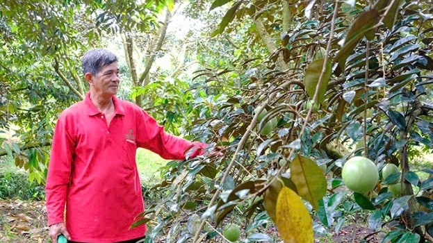 Xây dựng nông thôn mới ở Cần Thơ: Quyết tâm bứt phá ngay từ năm khởi động