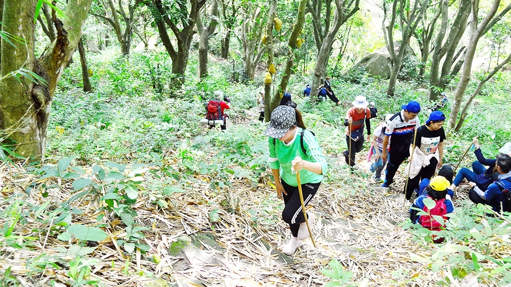 An Giang: Trekking núi Cấm