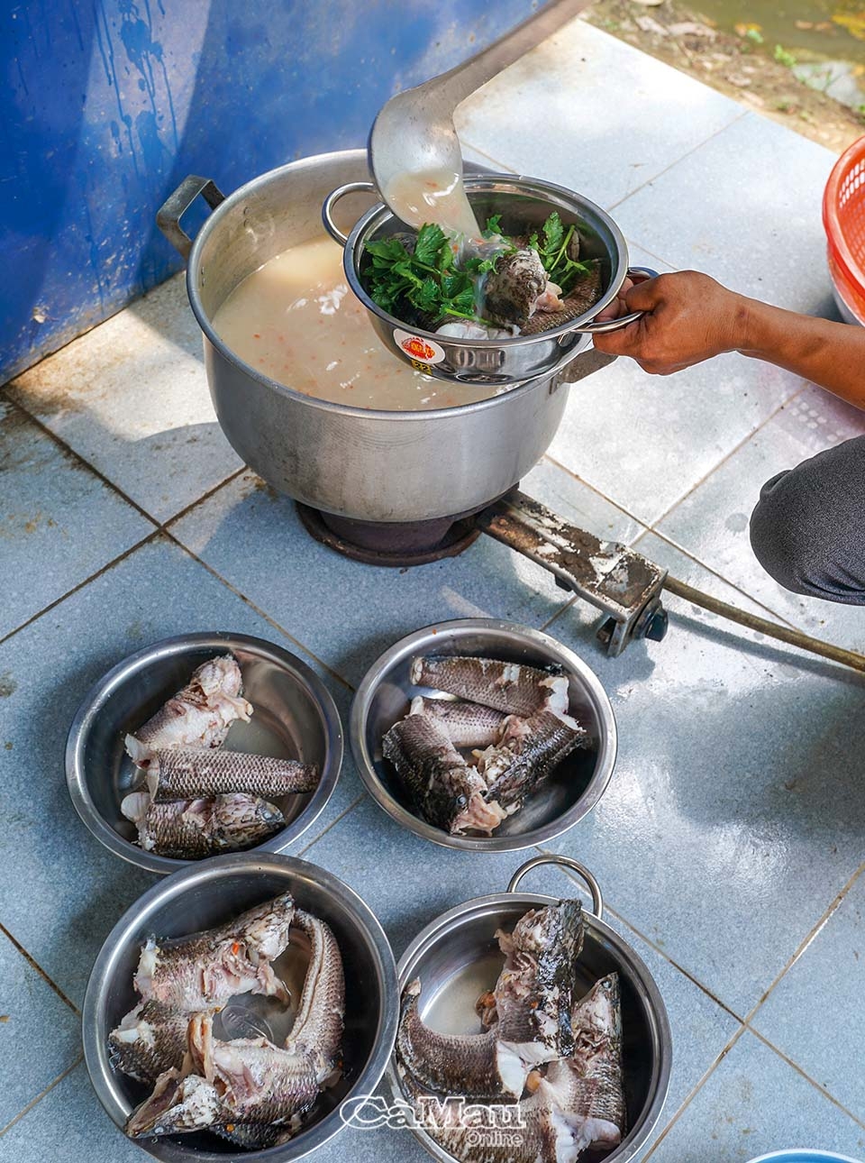 Cà Mau: Món ngon từ cá lóc đồng U Minh Hạ