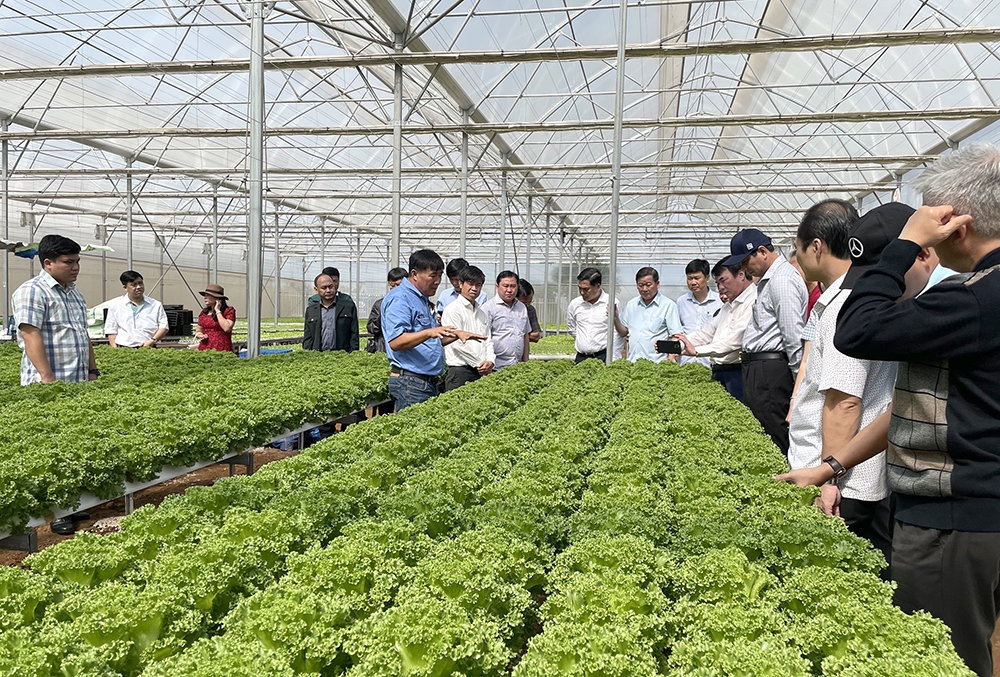 Đồng Nai - Lâm Đồng hợp tác phát triển nông nghiệp bền vững