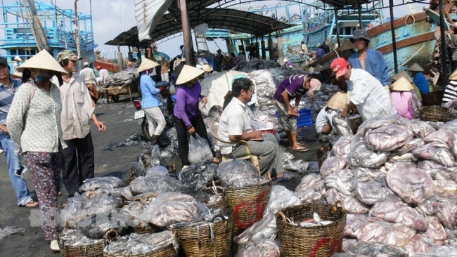 Bến Tre: Triển khai thực hiện có hiệu quả chống khai thác IUU