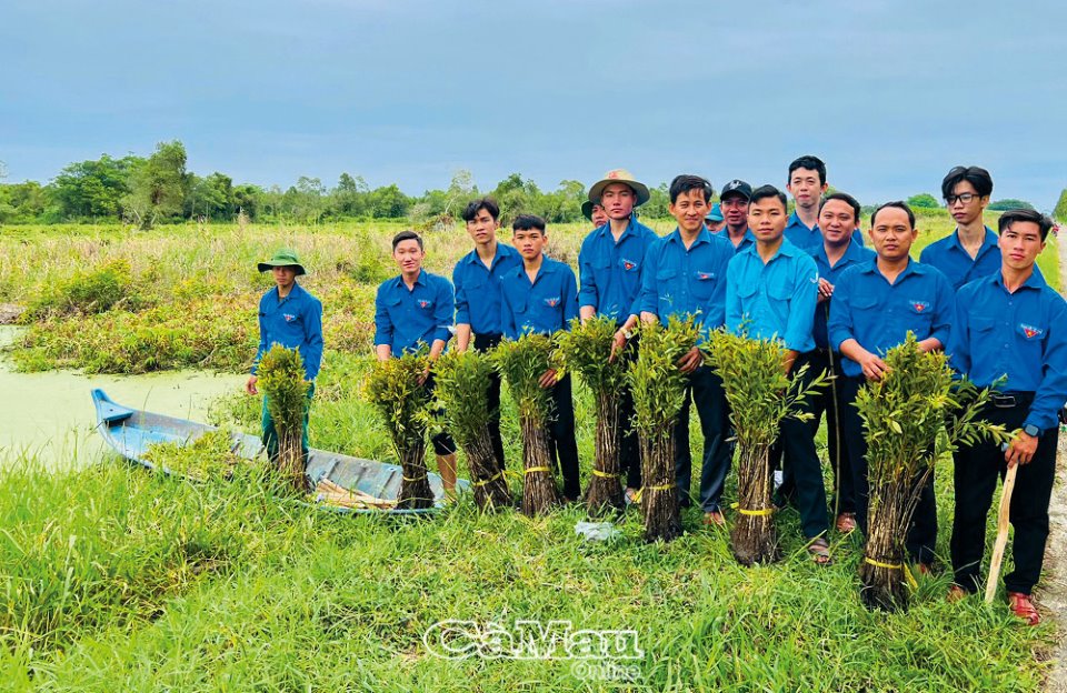 Cà Mau: “Sức sống xanh - Vì Cà Mau xanh”