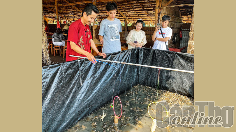 Cần Thơ: Mới lạ xiếc ếch ở cồn Sơn