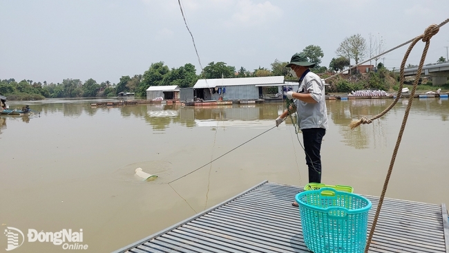 Đồng Nai: Cần thêm giải pháp bảo vệ nguồn nước sông, suối