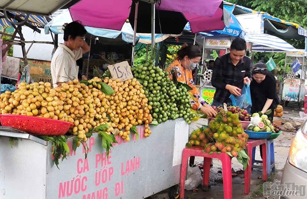 Nhiều điểm bán trái cây trên địa bàn thành phố, nhất là tại huyện Phong Điền bày bán nhiều loại trái cây ngon, đặc sản của địa phương để phục vụ người tiêu dùng và du khách gần xa. Trong ảnh: Khách hàng chọn mua trái cây tại một điểm bán ở xã Mỹ Khánh, huyện Phong Điền.