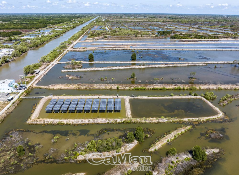 Cà Mau: Phát triển điện mặt trời khu vực nuôi tôm quảng canh