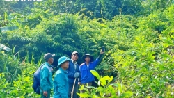 Đà Nẵng: Dân vận dưới tán rừng