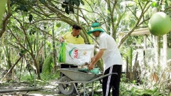 PVCFC duy trì nền tảng tài chính ổn định, đạt kết quả khả quan trong quý I/2025
