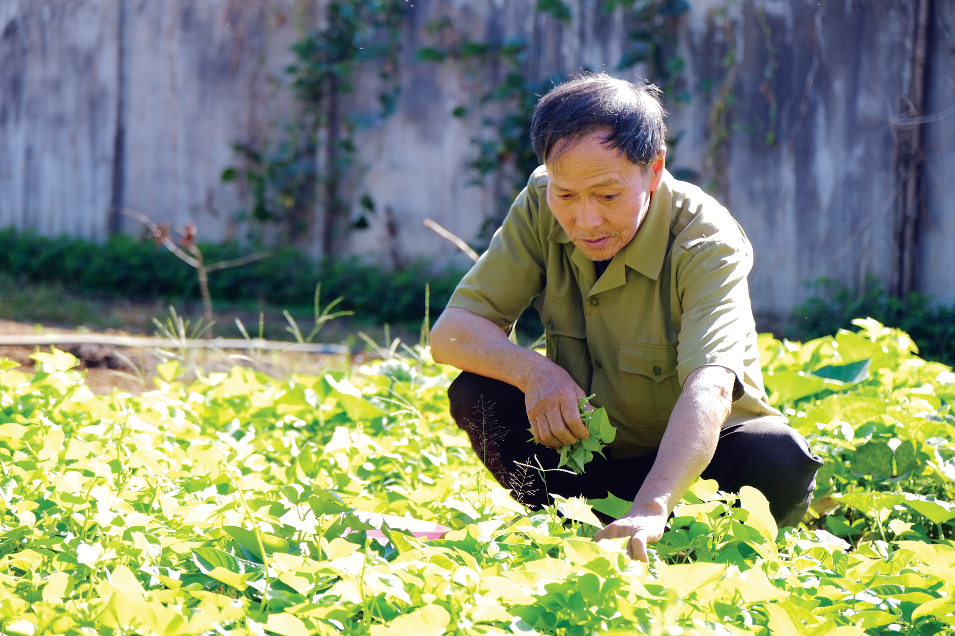 Lâm Đồng: Dựng nhà, giữ nghĩa, nuôi hy vọng