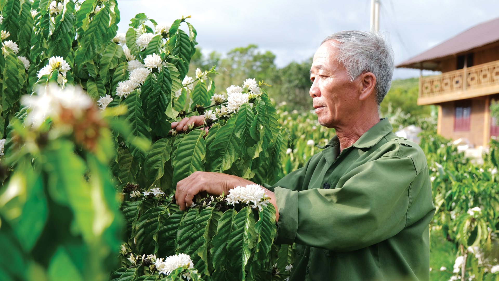 Lâm Đồng: Dựng nhà, giữ nghĩa, nuôi hy vọng