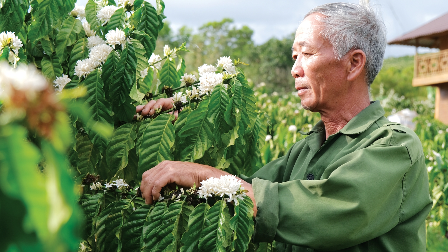Lâm Đồng: Dựng nhà, giữ nghĩa, nuôi hy vọng