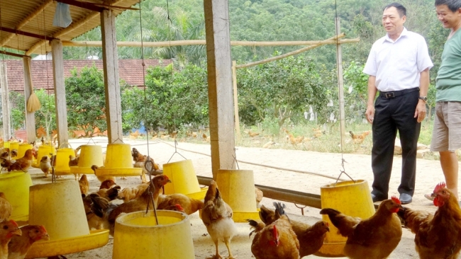 Hà Giang: Chăn nuôi hàng hóa, tăng giá trị sản phẩm