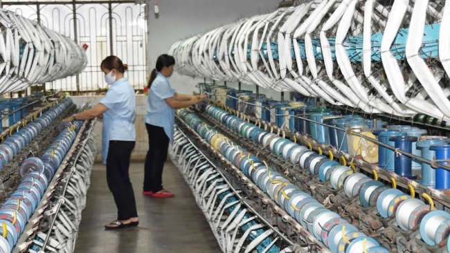 Lâm Đồng: Khi cây dâu tằm tăng cả 3 tiêu chí