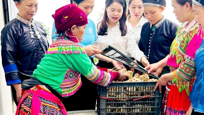 Hà Giang: Những ngôi nhà mang nghĩa Đảng, tình dân