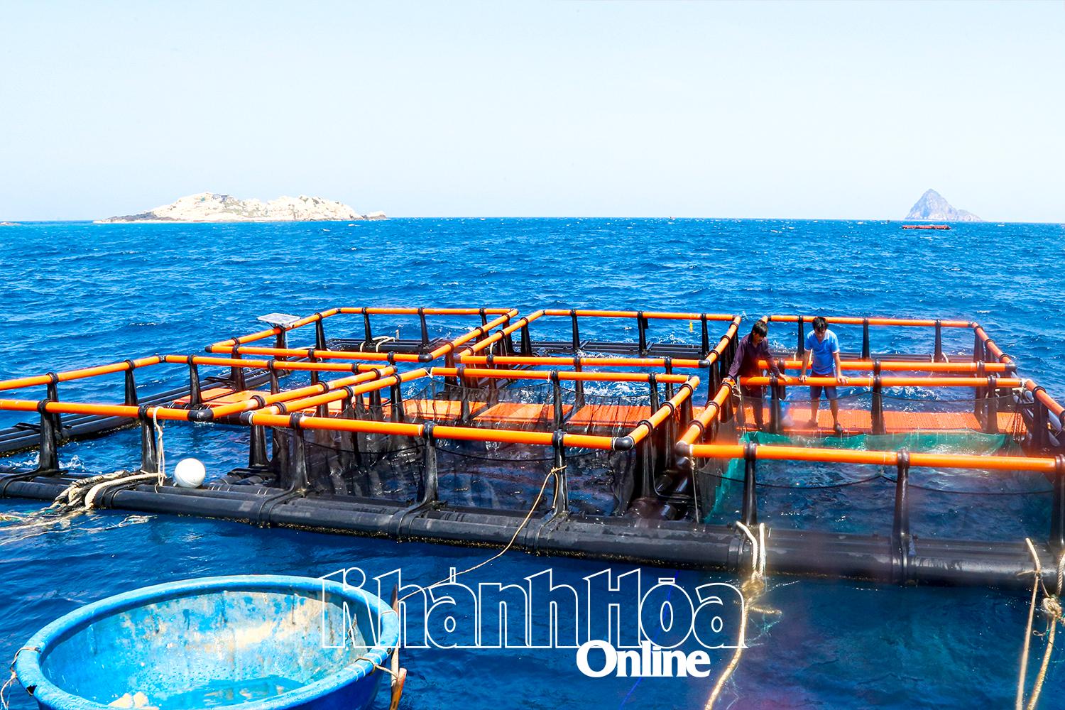 Khánh Hòa: Tiên phong nuôi biển xa bờ Khánh Hòa: Tiên phong nuôi biển xa bờ