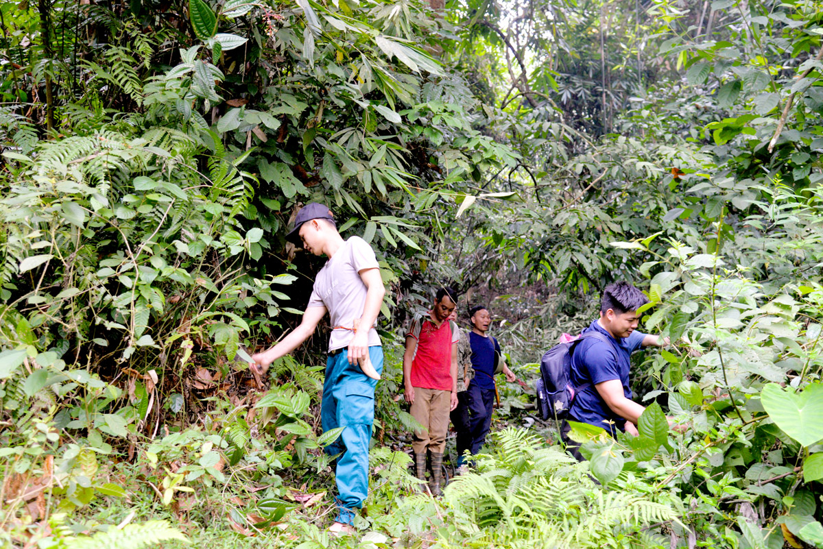 Hà Giang: Bảo vệ rừng gắn với phát triển du lịch sinh thái ở thôn Khun