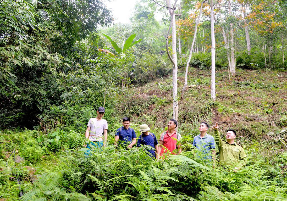 Hà Giang: Bảo vệ rừng gắn với phát triển du lịch sinh thái ở thôn Khun