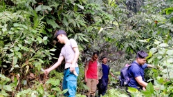 Hà Giang: Bảo vệ rừng gắn với phát triển du lịch sinh thái ở thôn Khun