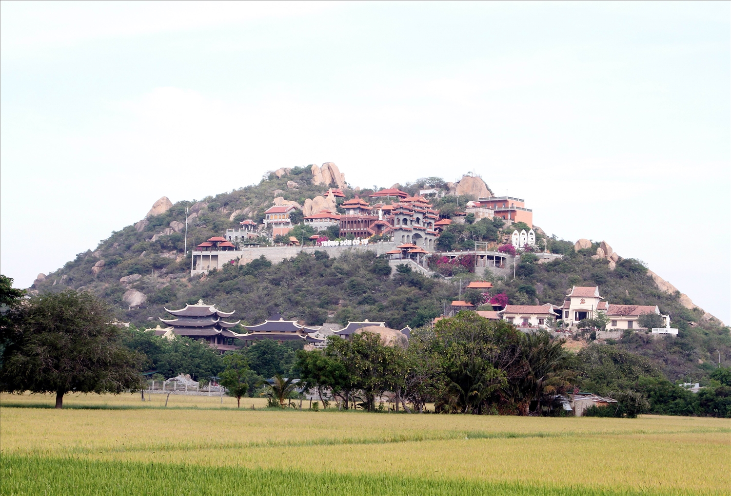 Du lịch tâm linh về Ninh Thuận Du lịch tâm linh về Ninh Thuận