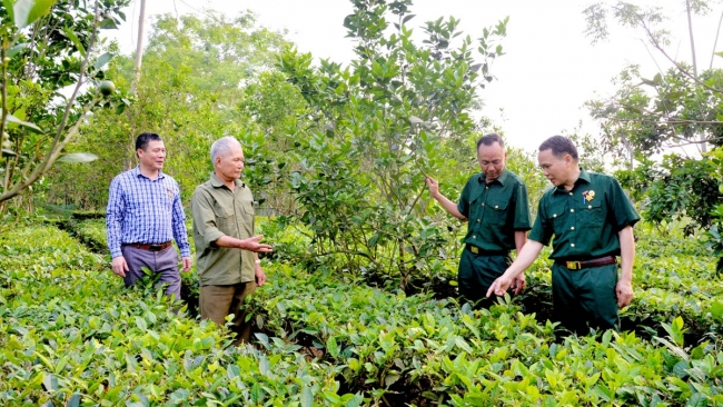 Hà Giang: Tỏa sáng phẩm chất “Bộ đội Cụ Hồ”