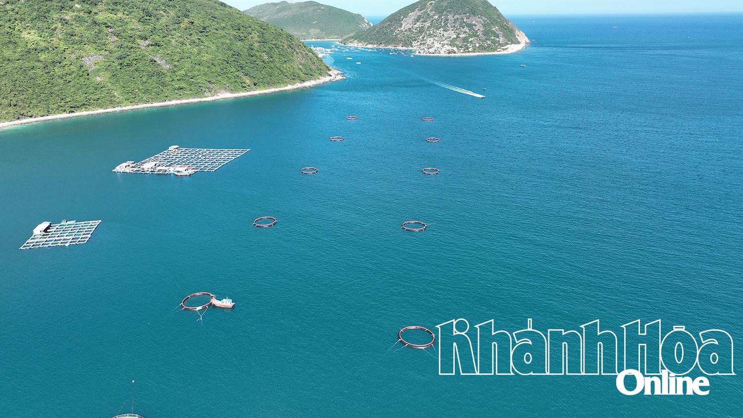 Khánh Hòa: 5 hộ nuôi biển công nghệ cao ở Đầm Bấy được cấp giấy phép nuôi trồng thủy sản trên biển