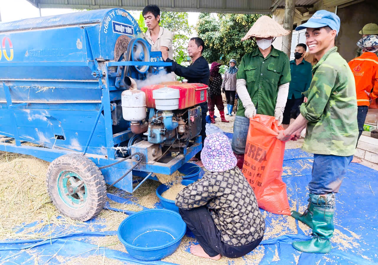 Hà Giang: Nông dân khẩn trương thu hoạch lúa vụ Xuân