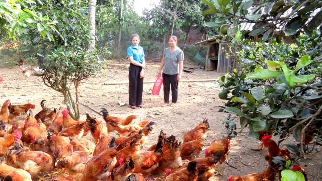 Hà Giang: Chăn nuôi đem lại nguồn thu ổn định cho phụ nữ xã Yên Hà