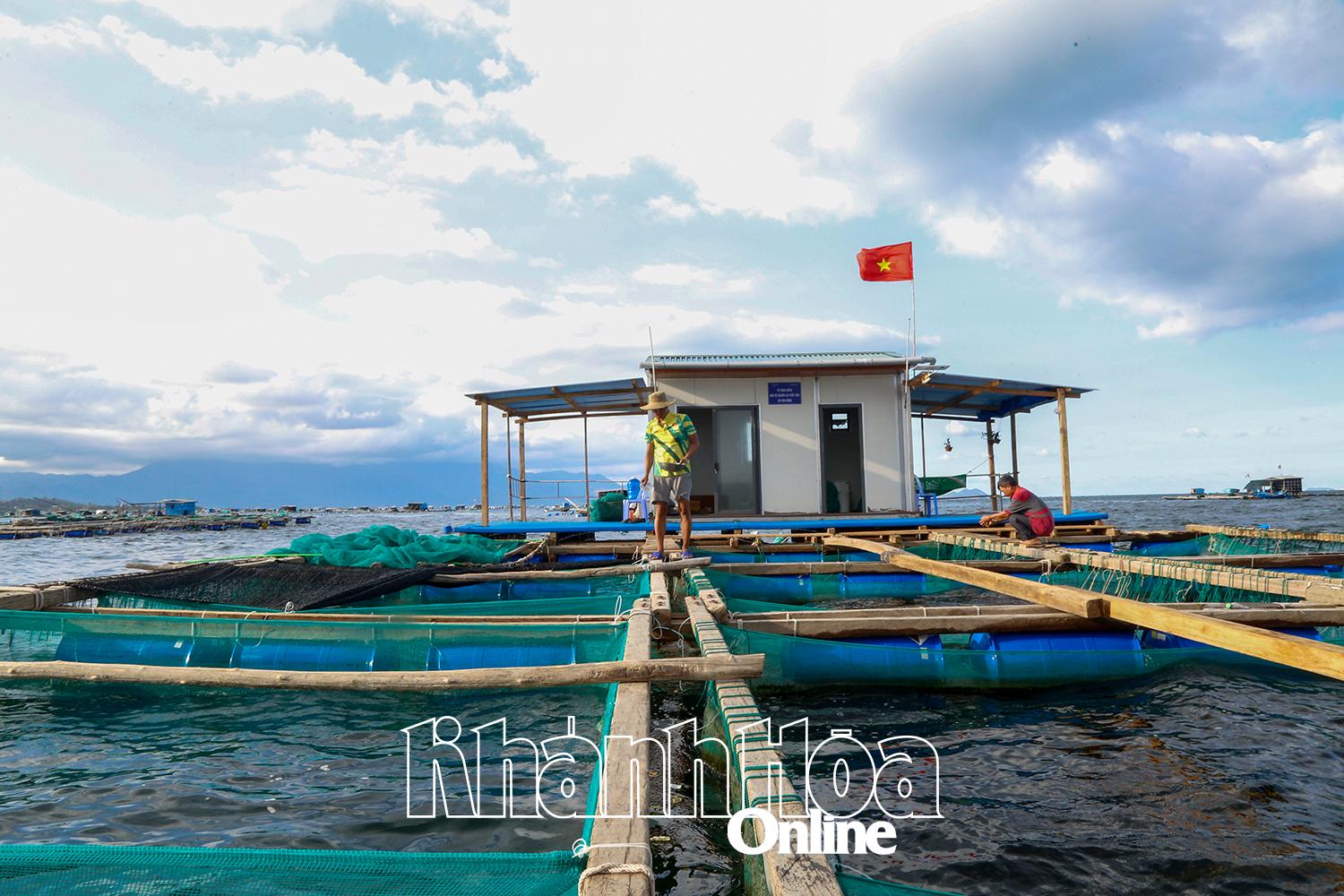 Khánh Hòa: Chung tay bảo vệ Rạn Trào