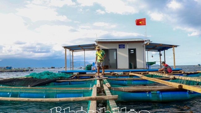 Khánh Hòa: Chung tay bảo vệ Rạn Trào