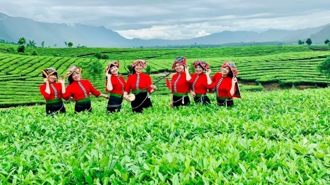 Vẻ đẹp đầy mê hoặc của đồi chè Tân Uyên