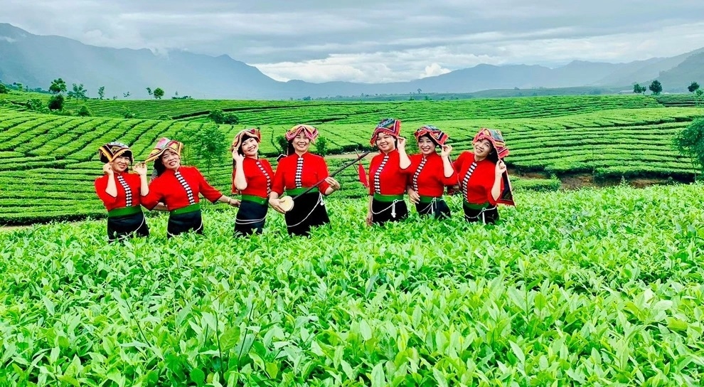 Vẻ đẹp đầy mê hoặc của đồi chè Tân Uyên