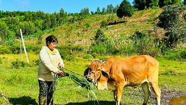 Thấy gì từ những lá thư xin thoát nghèo ở Vĩnh Sơn