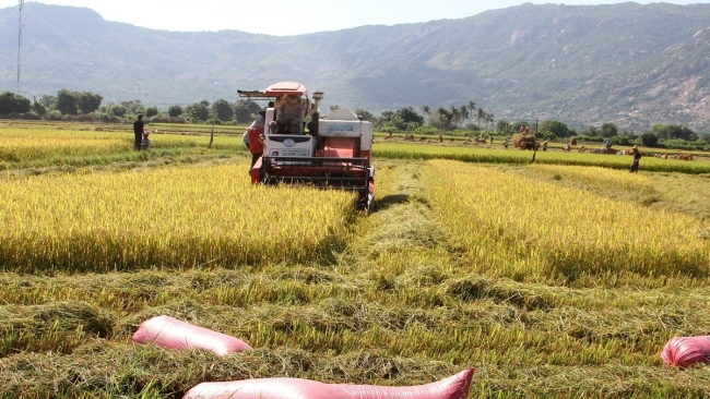 Niềm vui trên khu dân cư mới Xóm Bằng