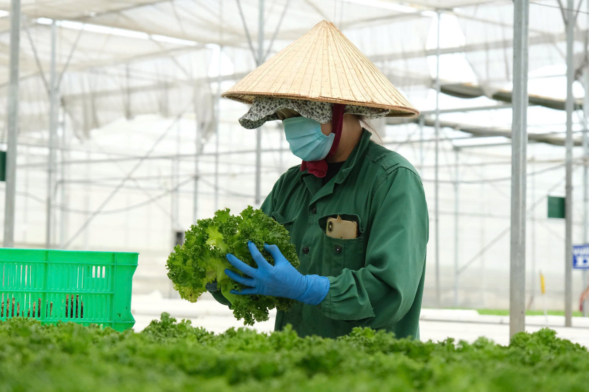 Lâm Đồng tạo đột phá từ nguồn nhân lực chất lượng cao