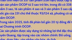 Tuyên Quang: Nâng giá trị nông sản